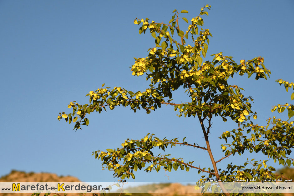 جاذبه های طبیعی استان خراسان شمالی